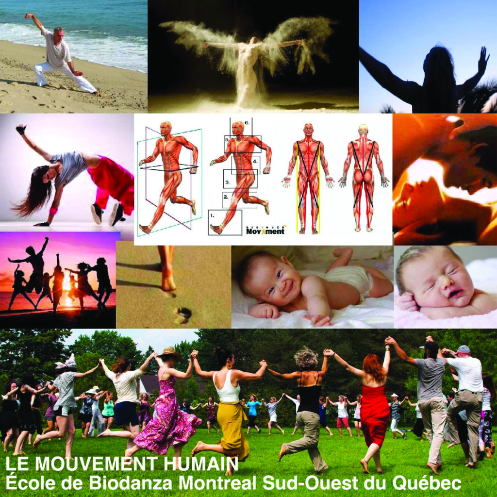 Image de différents humains qui bougent.